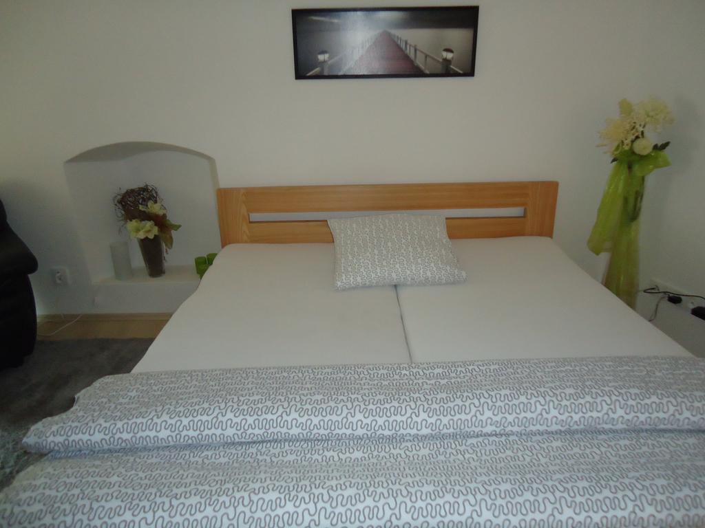 Apartment Pod Kotnovem Tábor Kamer foto